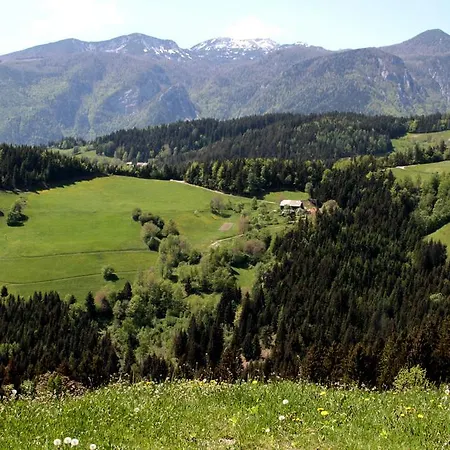 Hisa Pecovnik