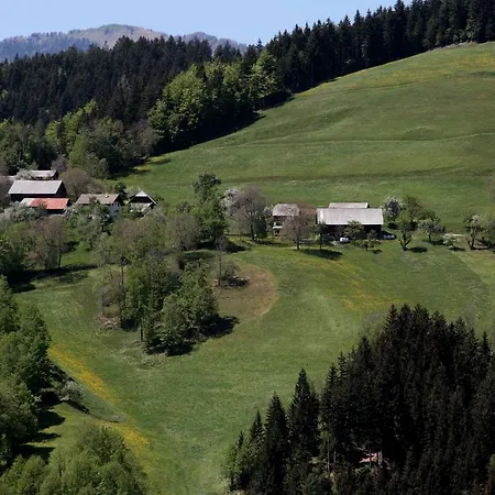 Vakantieboerderij Hisa Pecovnik Luče