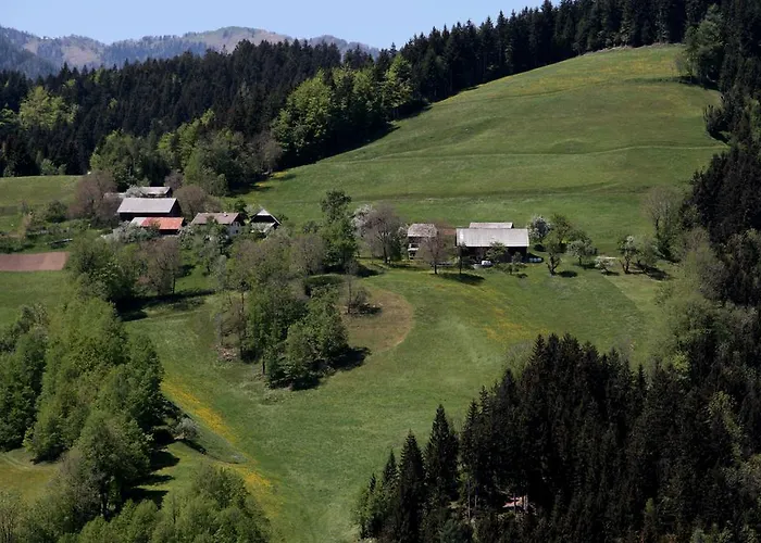Séjour à la ferme Hisa Pecovnik Luče